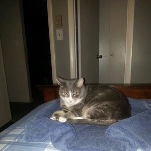 Meet your Posher, Connie